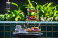 私享一池碧水,靜謐綠洲中甦醒