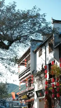 南京周邊遊——皖南的秋