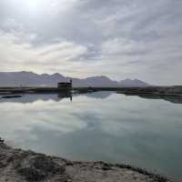 青海秘境｜送你一朵翡翠色的小紅花大柴旦翡翠湖全攻略