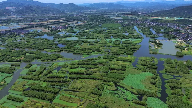 航拍——德清下渚湖 航拍——德清下渚湖