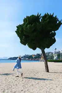 為了這幾個機位專門飛了一次青島