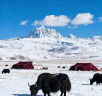 甘南等地6日遊攻略已備好快收藏