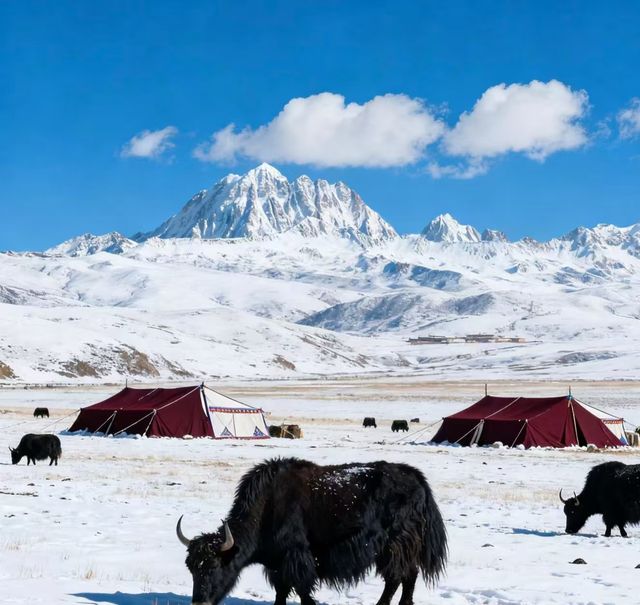 甘南等地6日遊攻略已備好快收藏 甘南等地6日遊攻略已備好快收藏