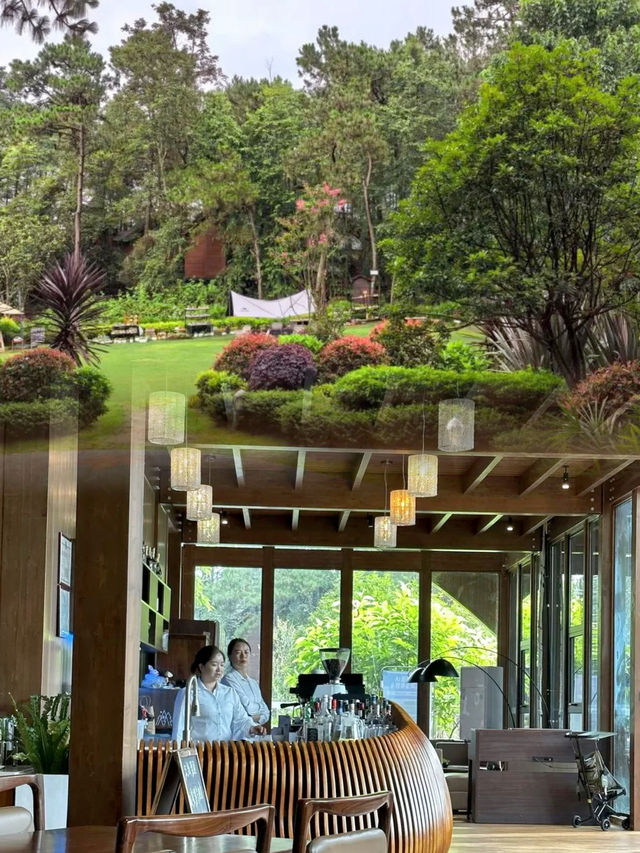 興義藏在森林裡的童話！星空樹屋太治癒了