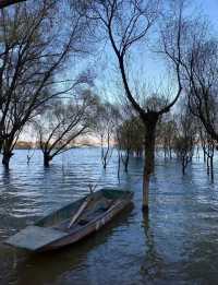 隴上江南，塞外明珠——劉家峽水庫之旅