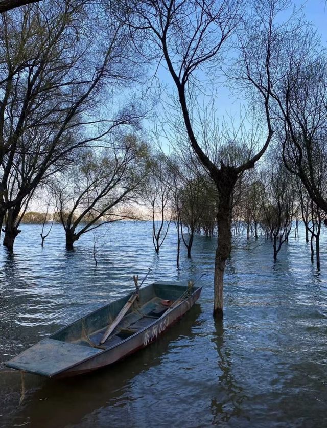 隴上江南，塞外明珠——劉家峽水庫之旅