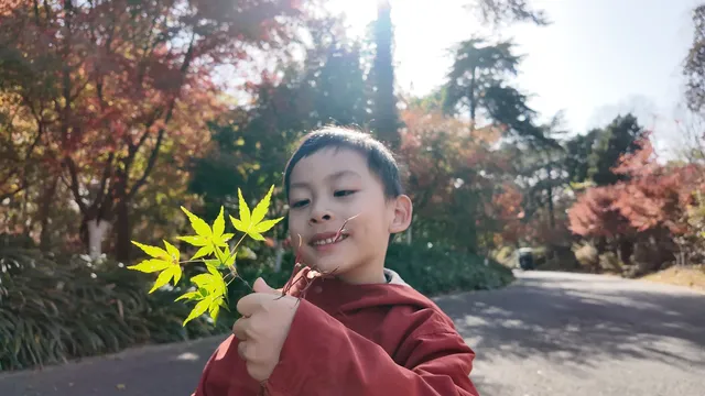 上海出發 帶娃賞秋棲霞山