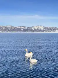 想跟賽里木湖說謝謝🫧人生照片有了！
