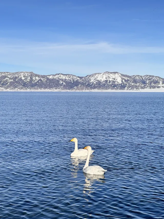 想跟賽里木湖說謝謝🫧人生照片有了！