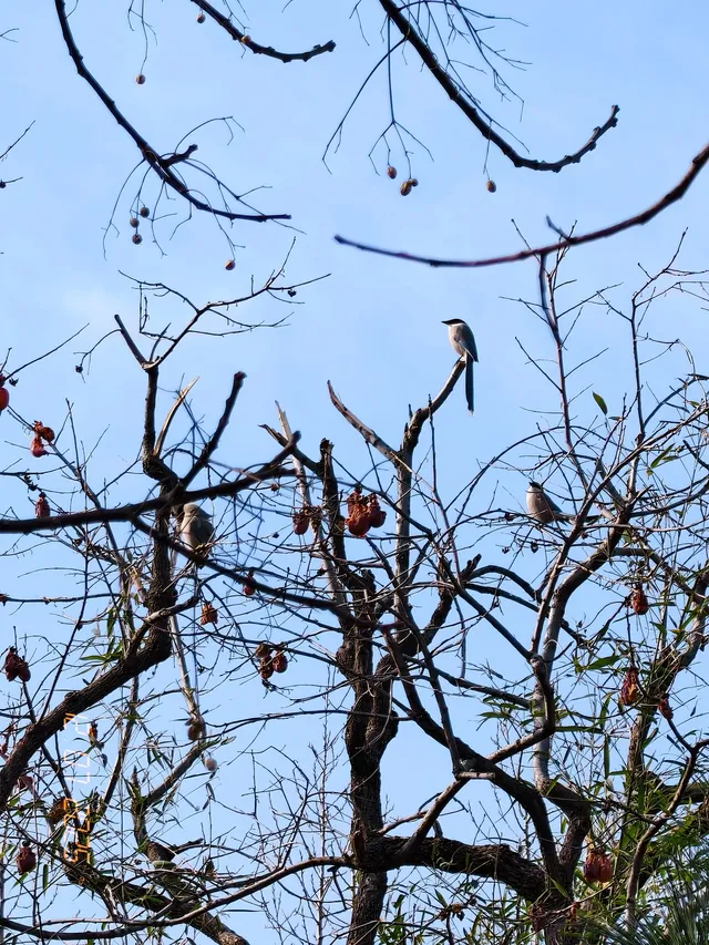 我眼中的青州 我眼中的青州