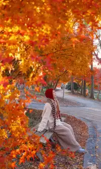 不誇張這是上海拍楓葉最美的公園了