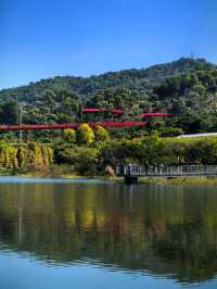 為什麼深圳人總在朋友圈曬這座虹橋？