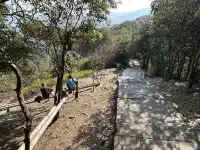 12.4西溪谷漫遊道5km徒步|路線+出片點+tips