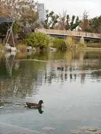 上海植物園一日遊