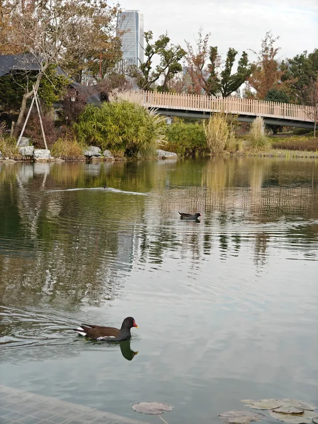 上海植物園一日遊 上海植物園一日遊