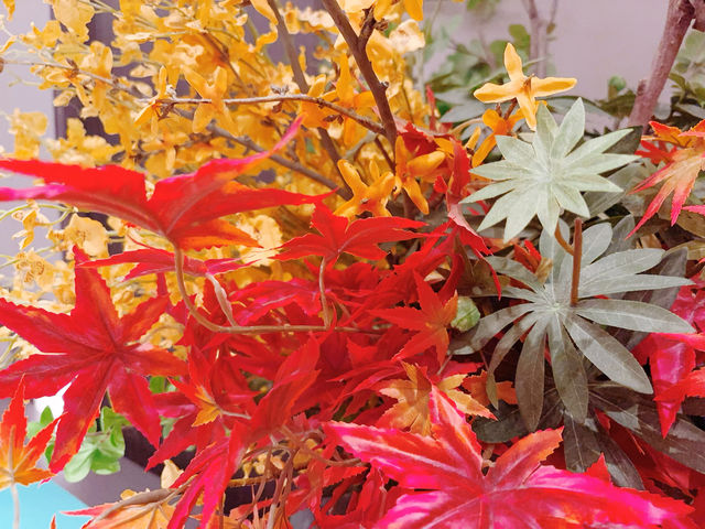 瀋陽親子遊必住