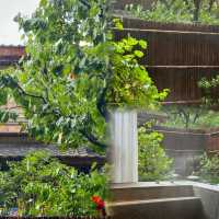 【一秒穿越長安城!在太白山私湯裡聽雨賞秋】