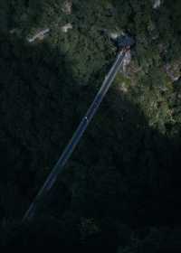 武義牛頭山｜現實版仙俠祕境美到失語