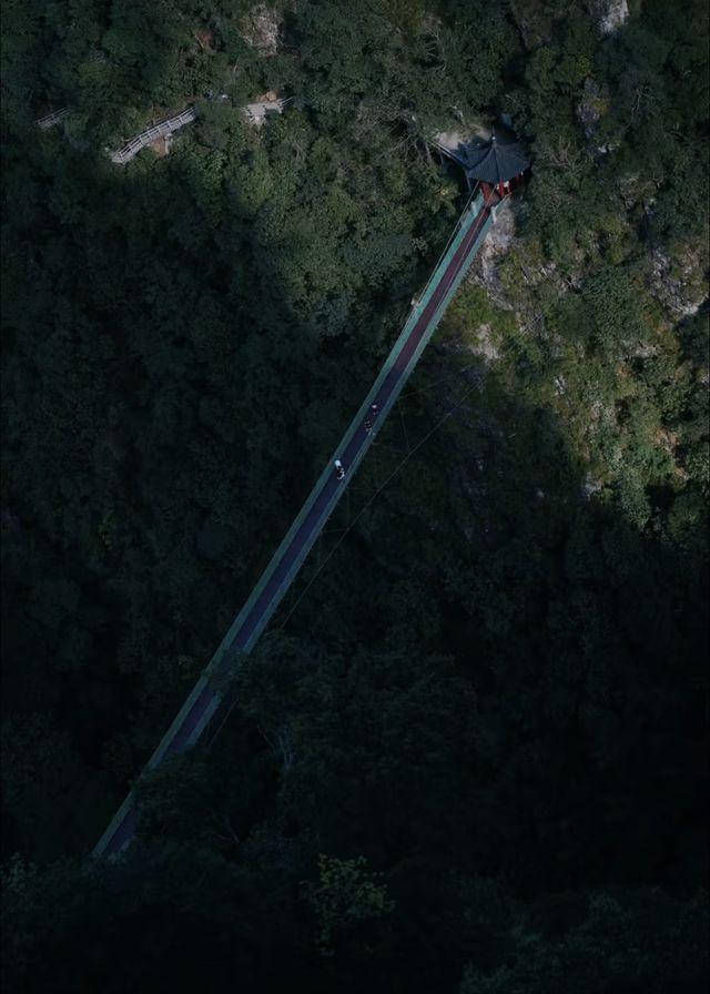 武義牛頭山｜現實版仙俠祕境美到失語