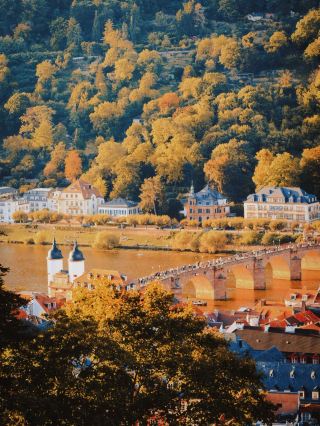 Frankfurt Private Car Tour | Journey Through German Romantic Fairy Tales