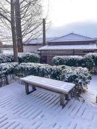 冬日限定雪景蘆葦打卡地