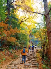 台州賞秋封神4條徒步路線建議收藏~