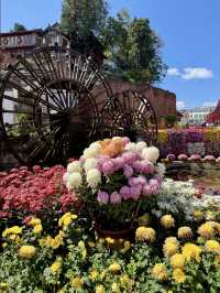 麗江古城拍照打卡封神攻略 機位+穿搭+避坑全解鎖