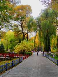 藏在城市裡的詩意秘境 —— 麒麟灣公園