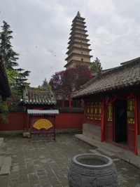 山西永濟蒲州普救寺塔(明,國保八)