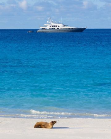 ทริปโลกสองด้าน｜บ้านเกิดวิวัฒนาการ + ปอดของโลก!