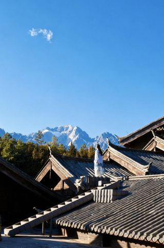 Stay in the forest at the foot of Jade Dragon Snow Mountain