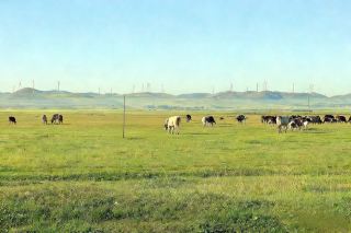 ทุ่งหญ้าดูเออร์เบ่อเต๋อ