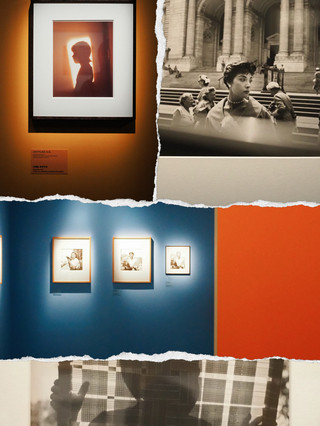 Skip the crowded trendy exhibitions! These niche art shows in Shanghai offer an aesthetic upgrade and great photo opportunities