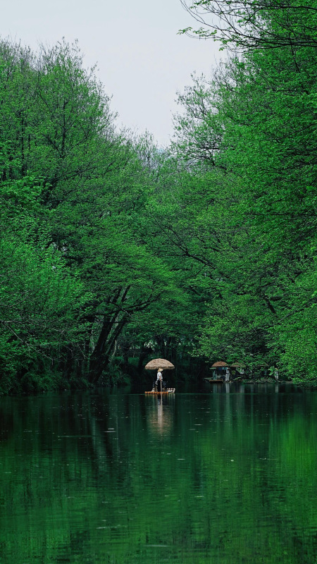 Xixinan Green Wild Wizard of Oz 0 Yuan Treasure Ancient Village