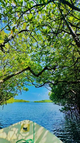 Sri Lanka: I swear Kandy Lake looks straight out of a Studio Ghibli movie.