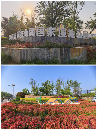 "Colorful Flower Fields" | Fuxian Lake · Fuhaiwan Wetland Park
