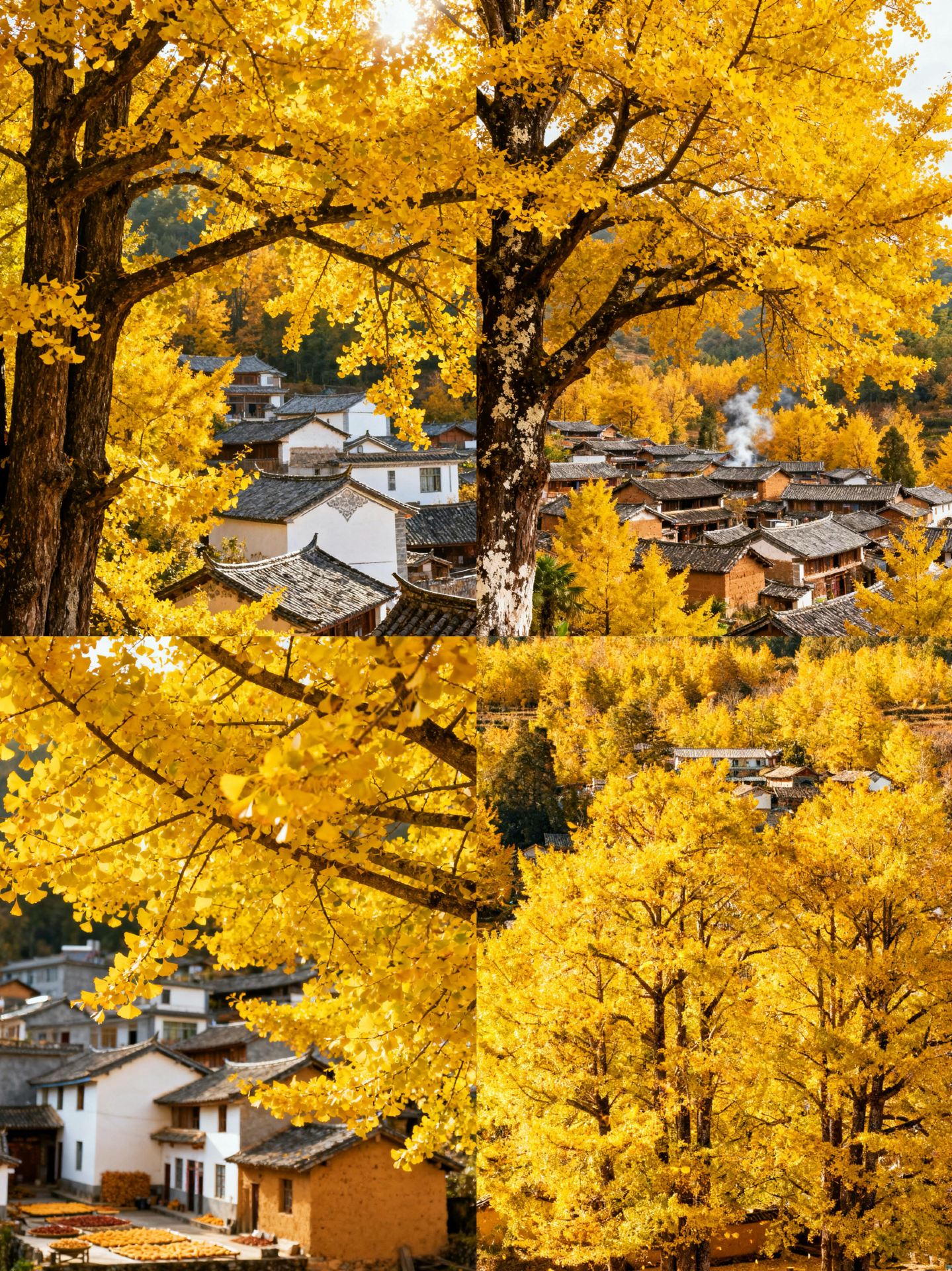I recently had the chance to visit Tengchong during the autumn months, and the quiet beauty of the place has stayed on my mind since. Coming from a crowded city, the open natural spaces here felt like a much-needed sanctuary. 

Two places in particular left a very deep impression on me. The first was the Beihai Wetland. I have always loved being near water and open grasslands, and walking through the wetland felt incredibly peaceful. The vast, golden-green grass floating on the water and the gentle movement of the reeds in the cool autumn breeze had a very soothing rhythm. I think I walked along the pathways for hours without feeling tired at all. As someone who studies design, the soft, natural color palette of the lake under the soft sun was beautiful to observe.

The other place I really enjoyed was the Volcano Geological Park. I decided to hike up Xiaokongshan. The morning air was quiet and very clear, and standing near the edge of the ancient volcanic crater felt like looking at a different world. It is a very simple, raw kind of landscape that makes you feel very small.

If you ever decide to visit, I feel it is best to pack a warm, thick jacket. The sun is very gentle and warm during the day, but the temperature drops quite quickly in the evening. For me, Tengchong was a place to slow down and just walk, which was exactly what I needed.