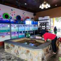 Arowana Marina Village Fish SPA