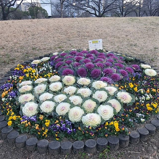 梅田市區散步【扇町公園】