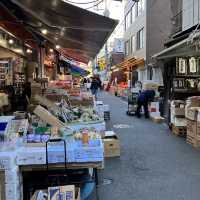 Tsukiji Outer Market 