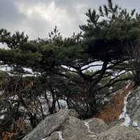 서울 청계산 완전정복하기!