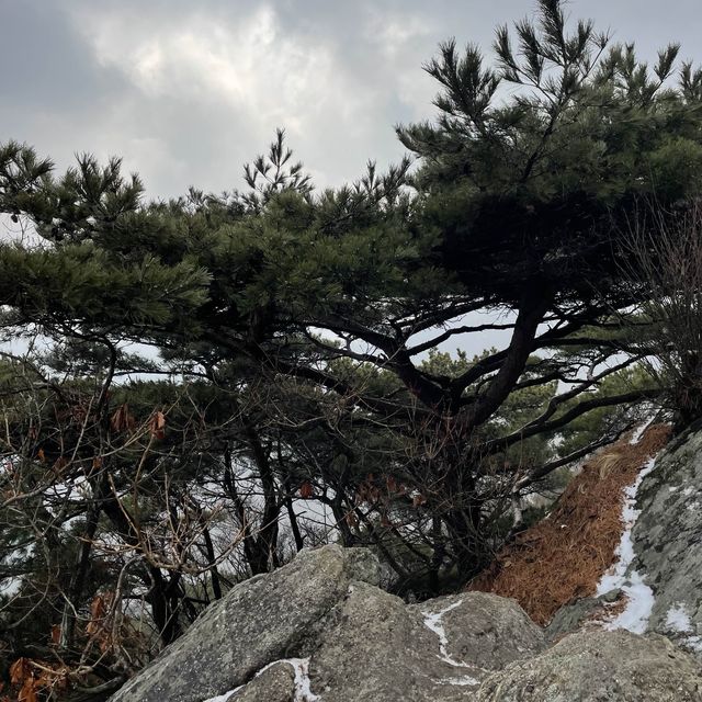 서울 청계산 완전정복하기!