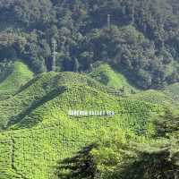 Wintry landscape in Malaysia