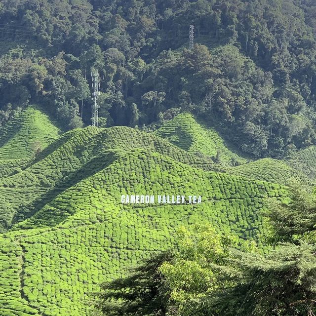 Wintry landscape in Malaysia