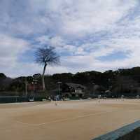 Beautiful park with around 3k sakura trees