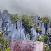 The Famous Mulu Pinnacles