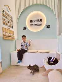 鬧市中的寧静角落和貓咪玩的貓之茶房