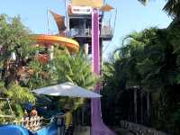 🐳Vana Nava Water Jungle สวนน้ำสุดสนุก🛝👦🏻👧🏻☀️