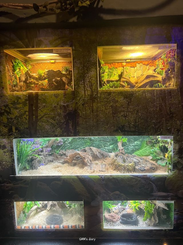 เที่ยวอควาเรียมสุดว้าวบนเกาะวินเพิร์ล 🐠✨