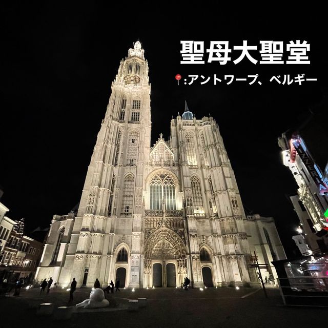 【ベルギー】アントワープの夜に行きたいおすすめスポット！